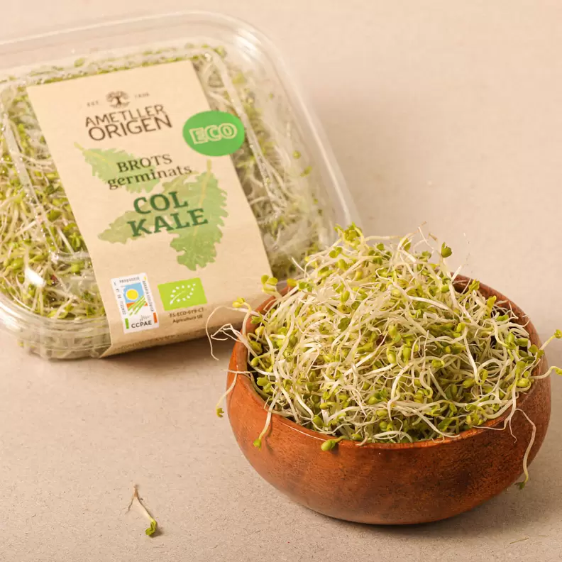 Oferta de Brots germinats ecològics de col kale Ametller Origen 50g por 2,49€ en Ametller Origen