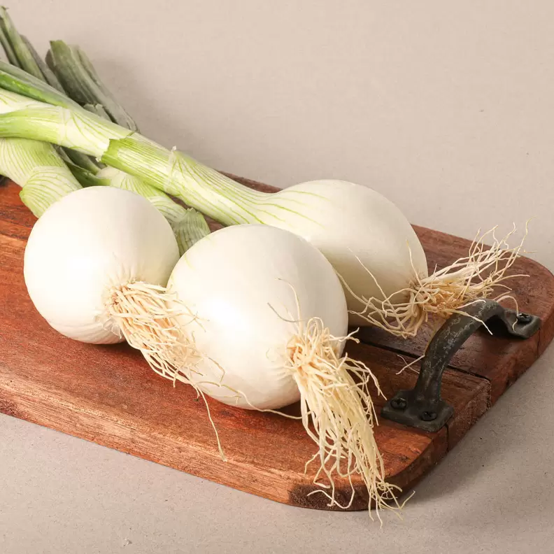 Oferta de Ceba tendra extra manat por 2,49€ en Ametller Origen
