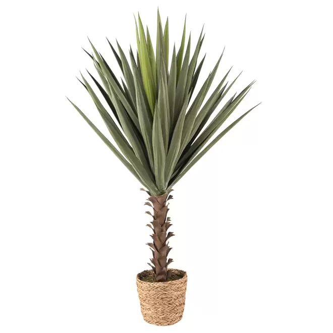 Oferta de Yucca artificiel verre et marron H118 por 129€ en Maisons du Monde