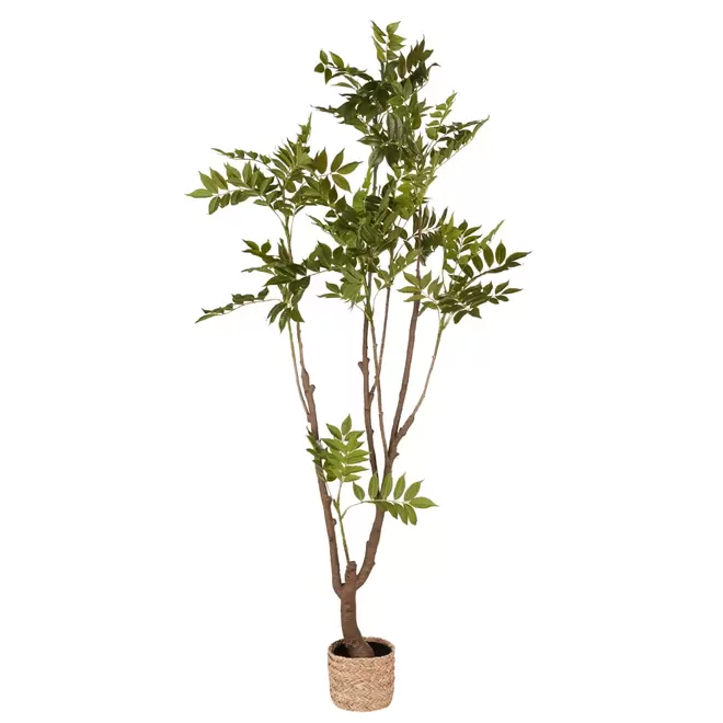 Oferta de Ficus artificiel vert H175 por 139€ en Maisons du Monde