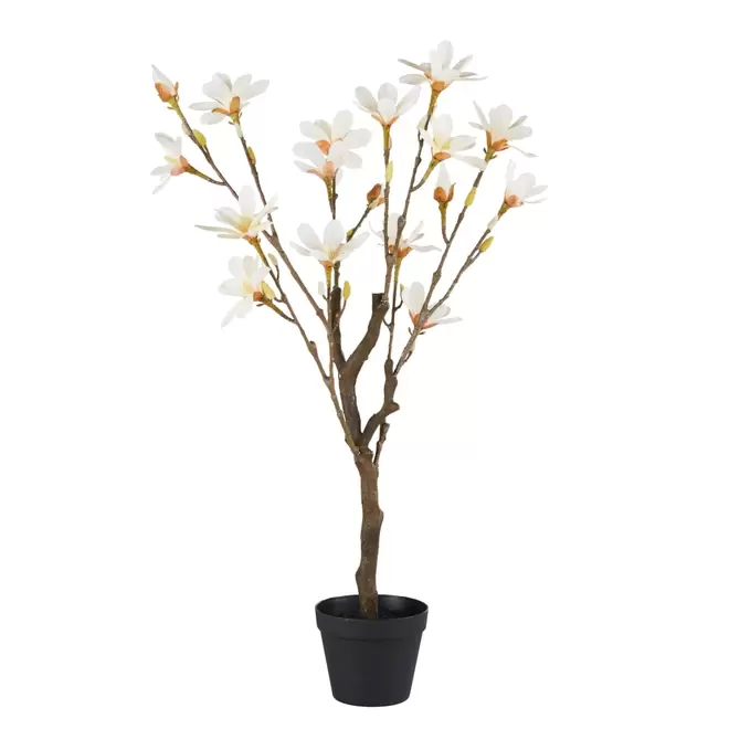 Oferta de Magnolia artificiel H98 por 79,99€ en Maisons du Monde