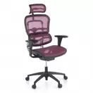 Oferta de Silla Ergonómica Ergohuman One, alta gama, aluminio por 494,99€ en Ofichairs
