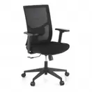 Oferta de Silla de Oficina Ergonómica Verdi, brazos ajustables, soporte lumbar, por 159,99€ en Ofichairs