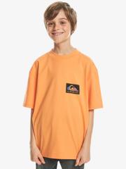 Oferta de Back Flash ‑ Camiseta para Chicos 8-16 por 25€ en Quiksilver