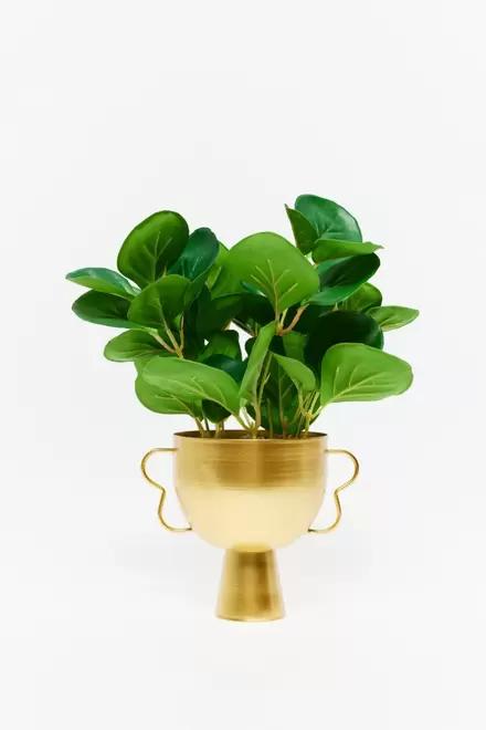 Oferta de Planta laurel metal + Colores    9,99€     7,99€ por 7,99€ en Sfera