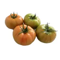 Oferta de Tomates ensalada, Kg. por 1,75€ en Super Alcoop