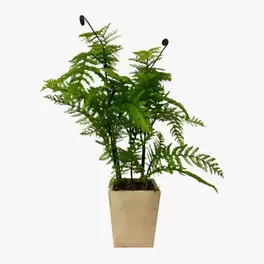 Oferta de PLANTA ARTIFICIAL 50CM CON MACETA DE MADERA por 10€ en Tiendas MGI