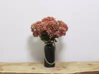 Oferta de VARA HORTENSIA NARANJA X2 por 3,49€ en Tiendas Mi Casa