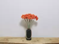 Oferta de VARA GERBERA NARANJA por 2,49€ en Tiendas Mi Casa