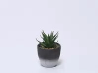 Oferta de CACTUS CON MACETA C Ø5.5X14CM por 1,99€ en Tiendas Mi Casa