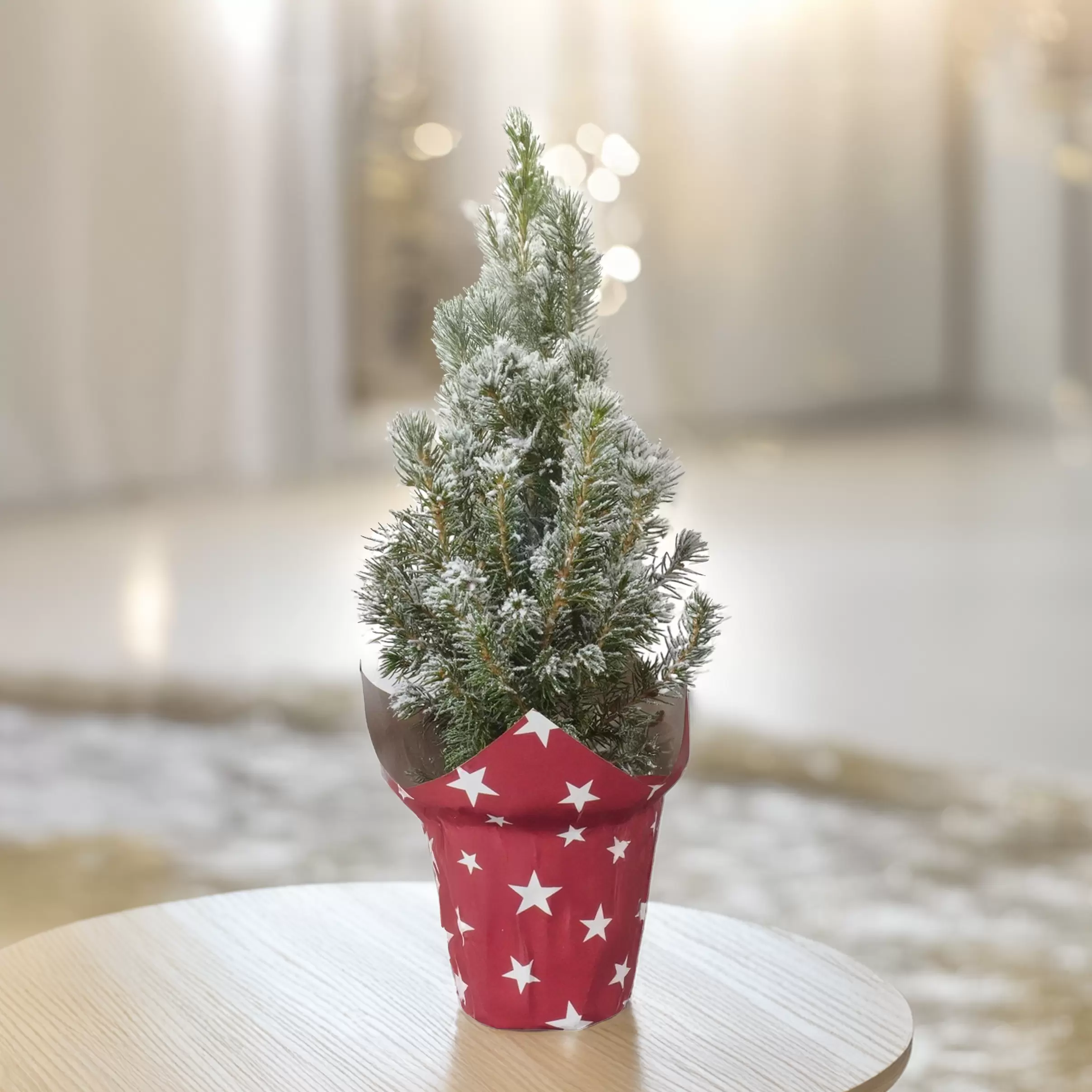 Oferta de Arbolito de Navidad Nevado por 27,99€ en Interflora