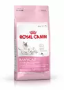 Oferta de ROYAL CANIN Gatos Mother & Babycat por 5,27€ en Don Mascota