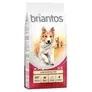 Oferta de Briantos Adult Pollo y arroz por 3,79€ en Zooplus