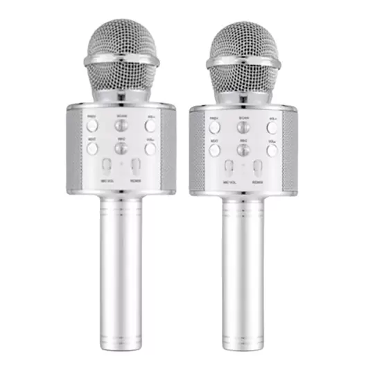 Oferta de Micrófono BOOMTONEDJ STAR-SING DUO por 19,96€ en Electro Depot