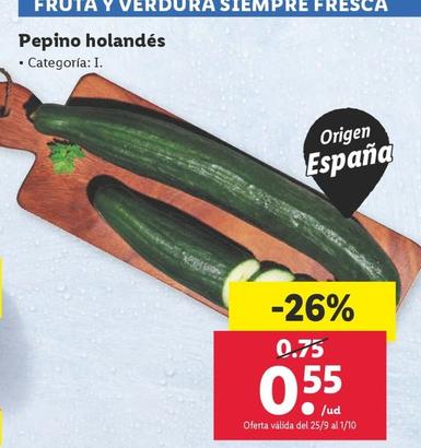 Oferta de Pepino Holandés por 0,55€ en Lidl