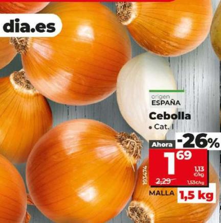 Oferta de Cebolla por 1,69€ en Dia