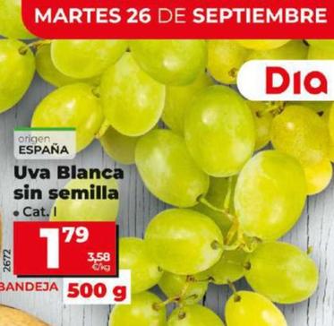 Oferta de Uva Blanca sin semilla por 1,79€ en Dia