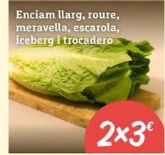 Oferta de Enciam llarg, roure, meravella, escarola, iceberg i trocadero en Ametller Origen