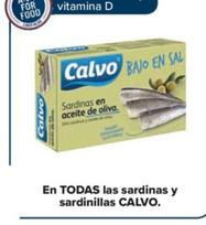 Oferta de En todas las sardinas y sardinillas en Carrefour