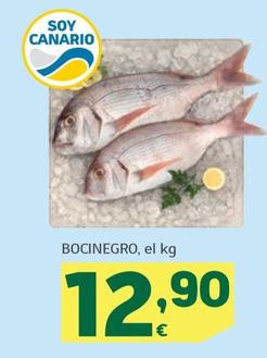 Oferta de Bocinegro por 12,9€ en HiperDino