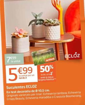 Oferta de Ecloz - suculentes por 7,99€ en Jardiland