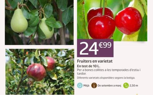 Oferta de Fruiters en varietat por 24,99€ en Jardiland