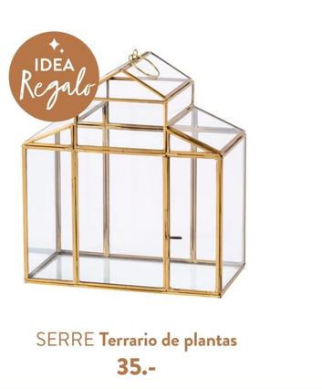 Oferta de Terrario De Plantas por 35€ en Casa