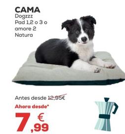 Oferta de Dogzzz - Cama  por 7,99€ en Kiwoko