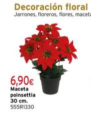Oferta de Maceta Poinsettia por 6,9€ en Cadena88
