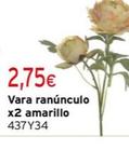 Oferta de Vara Ranúnculo X2 Amarillo por 2,75€ en Cadena88