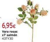 Oferta de Vara Rosas por 6,95€ en Cadena88