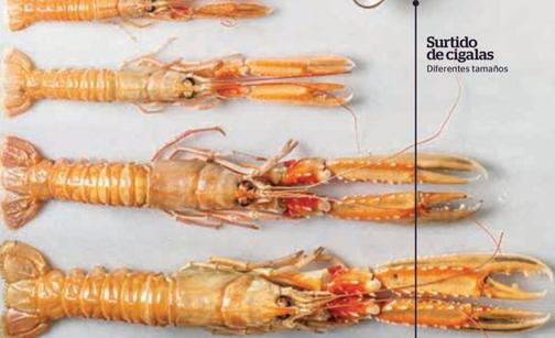 Oferta de Surtido De Cigalas en La Sirena