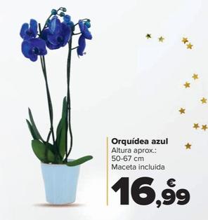 Oferta de Orquídea azul por 16,99€ en Carrefour