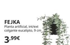 FEJKA Planta artificial, int/ext colgante/eucalipto, 9 cm - IKEA
