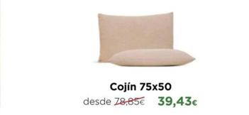 Oferta de Cojín 75x50 por 39,43€ en Max Colchón