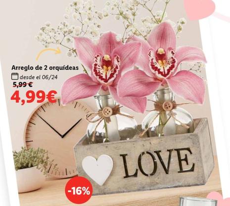 Oferta de Arreglo De 2 Orquídeas por 4,99€ en Lidl
