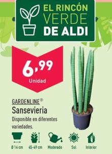 Oferta de Gardenline - Sansevieria por 6,99€ en ALDI