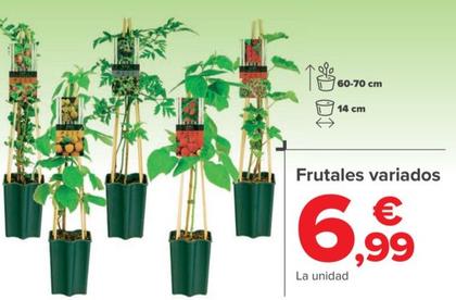 Oferta de Frutales Variados por 6,99€ en Carrefour