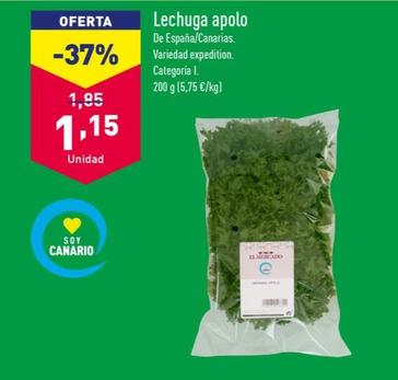 Oferta de Lechuga Apolo por 1,15€ en ALDI