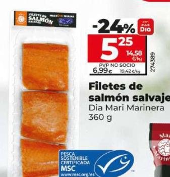Oferta de Dia - Filetes De Salmon Salvaje por 5,25€ en Dia