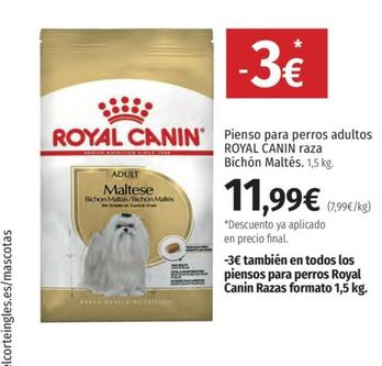 Oferta de Royal Canin - Pienso Para Perros Adultos Raza por 11,99€ en El Corte Inglés