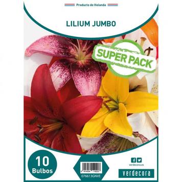 Oferta de BULBOS LILIUM JUMBO SUPER PACK 10 UDS por 10,99€ en Verdecora