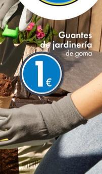 Oferta de Guantes De Jardinería por 1€ en TEDi