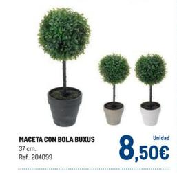 Oferta de Maceta Con Bola Buxus por 8,5€ en Makro