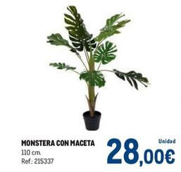 Oferta de Monstera Con Maceta por 28€ en Makro