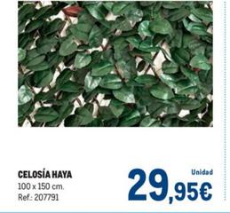 Oferta de Celosía Haya por 29,95€ en Makro