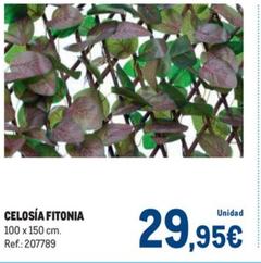 Oferta de Celosía Fitonia por 29,95€ en Makro