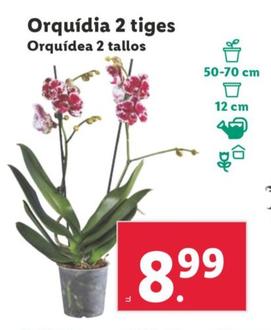 Catalogo juguetes cheap lidl 2018 2019