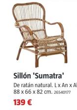Oferta de Sillon 'Sumatra' por 139€ en BAUHAUS