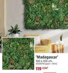 Oferta de Madagascar por 119€ en BAUHAUS
